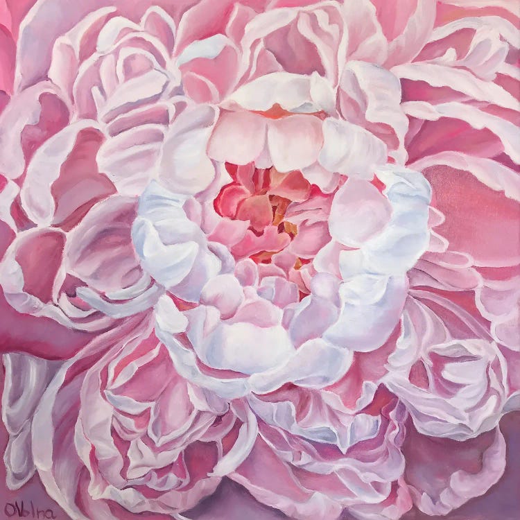 Blossoming Peony II