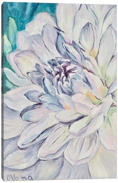 Violet Dahlia Canvas Art Print - Dahlia Art