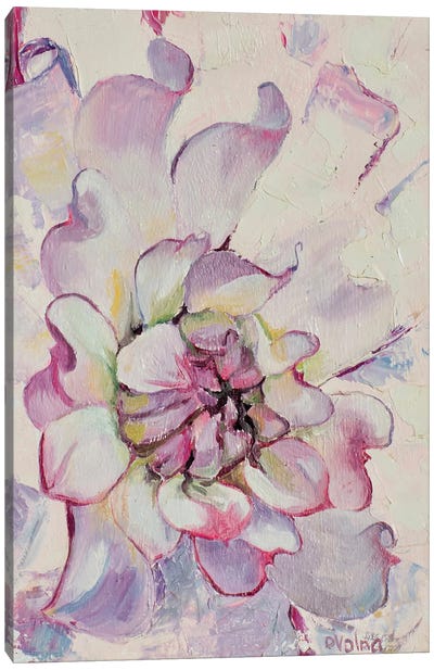 Gentle Flower Canvas Art Print - Olga Volna