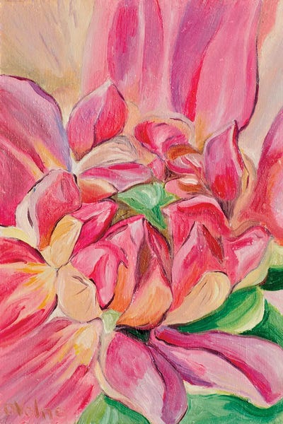 Pink Flower by Olga Volna canvas print