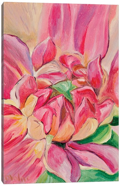 Pink Flower Canvas Art Print - Olga Volna