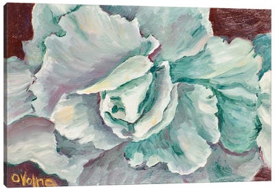 Turquoise Rose Canvas Art Print - Olga Volna