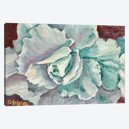 Turquoise Rose Canvas Print #OGV35} by Olga Volna Canvas Art Print