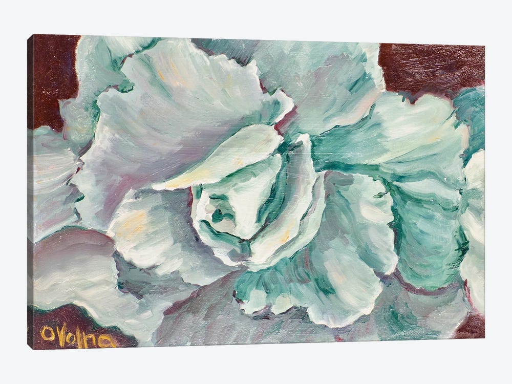 Turquoise Rose by Olga Volna 1-piece Canvas Print