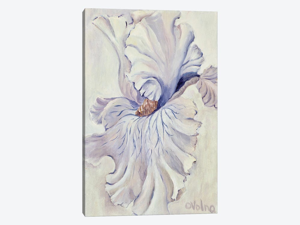White Iris by Olga Volna 1-piece Canvas Wall Art
