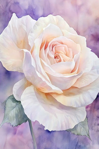 Gentle Rose III by Olga Volna canvas print