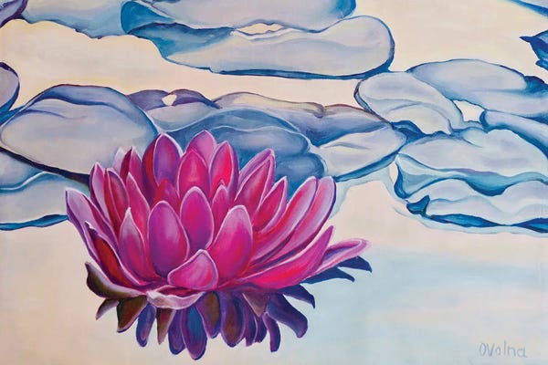 Lotuses: Sunset Lotus by Olga Volna