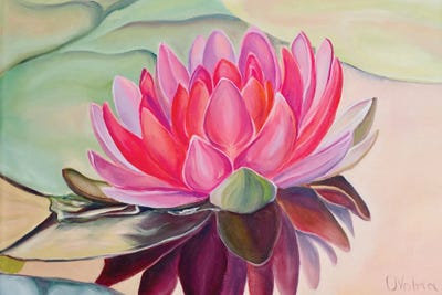 Lotus by Olga Volna canvas print
