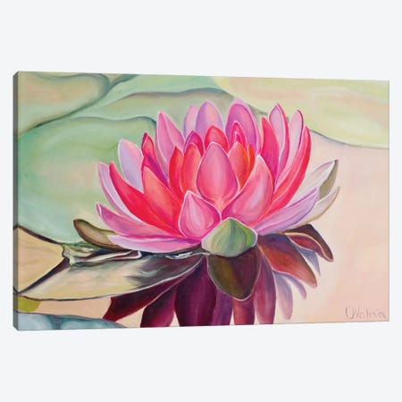 Lotus Canvas Print #OGV40} by Olga Volna Canvas Art Print