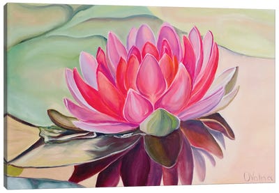 Lotus Canvas Art Print - Olga Volna