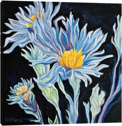 Cornflowers Canvas Art Print - Olga Volna