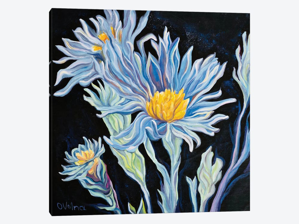 Cornflowers by Olga Volna 1-piece Canvas Art
