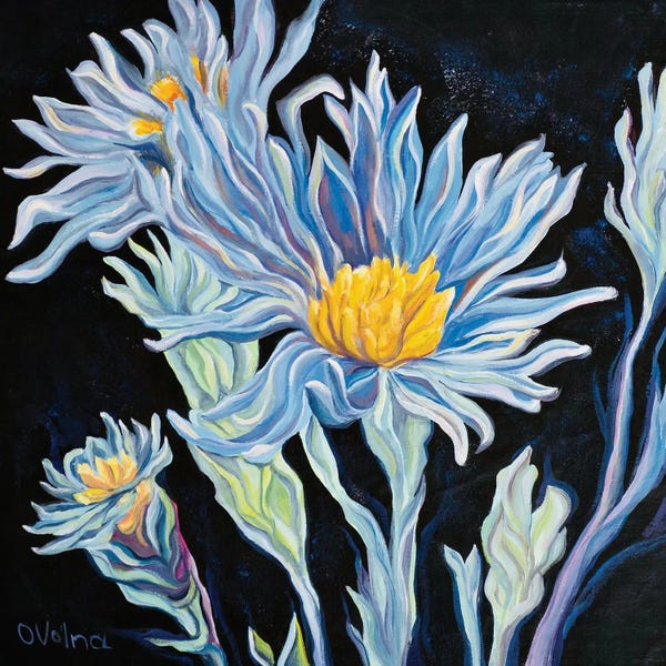 Cornflowers: Cornflowers by Olga Volna