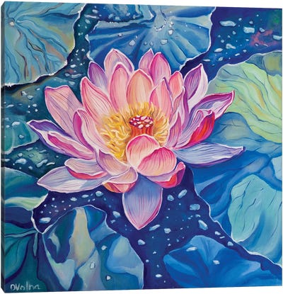 Magic Lotus Canvas Art Print - Lotus Art