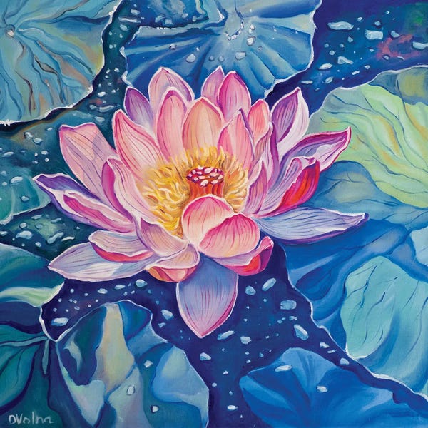 Lotuses: Magic Lotus by Olga Volna