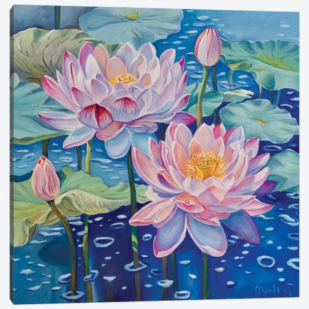 Magic Lotuses Canvas Print #OGV44} by Olga Volna Canvas Artwork
