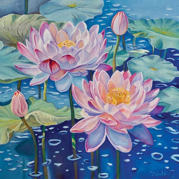 Lotuses: Magic Lotuses by Olga Volna