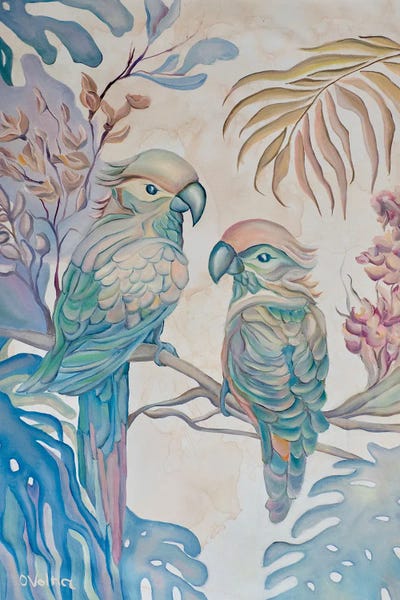 Parrots: Pastel Parrots by Olga Volna