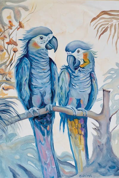 Parrots In Love by Olga Volna art print