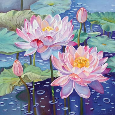 Magic Lotuses I by Olga Volna framed wall art