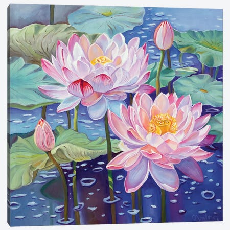 Magic Lotuses I Canvas Print #OGV48} by Olga Volna Art Print