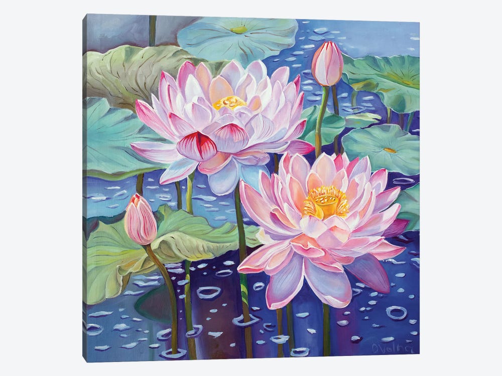 Magic Lotuses I by Olga Volna 1-piece Canvas Print
