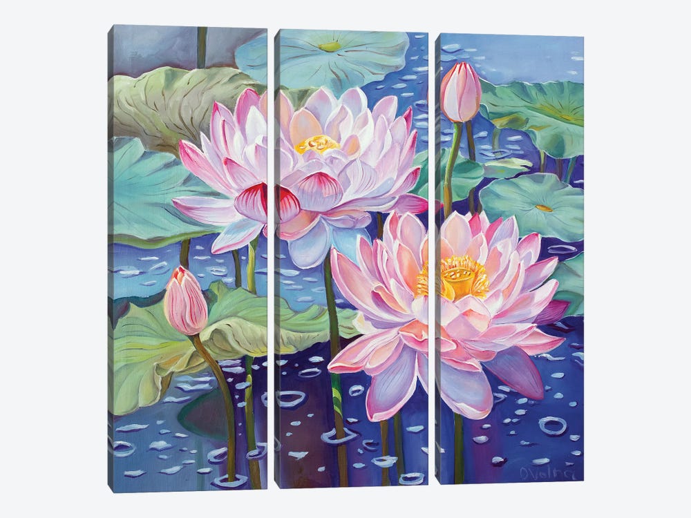 Magic Lotuses I by Olga Volna 3-piece Canvas Print