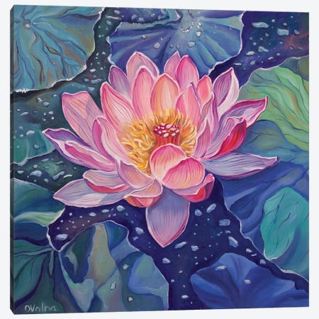 Magic Lotus I Canvas Print #OGV49} by Olga Volna Art Print