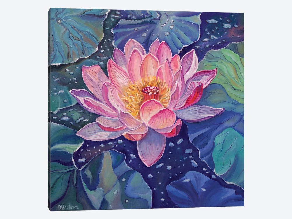 Magic Lotus I by Olga Volna 1-piece Canvas Art