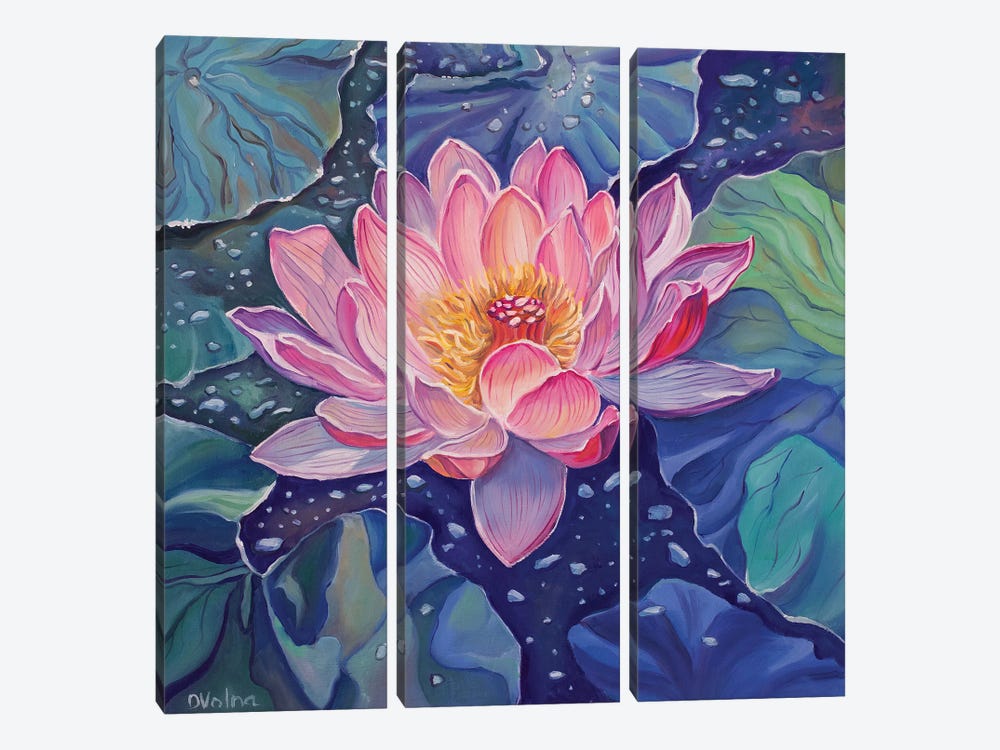 Magic Lotus I by Olga Volna 3-piece Canvas Artwork