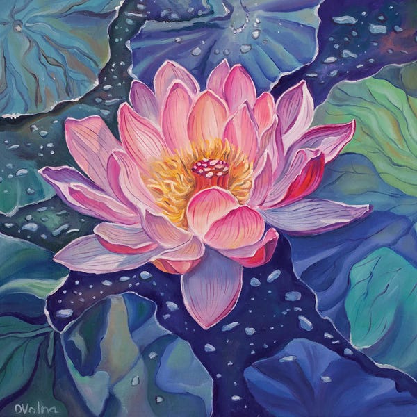 Lotuses: Magic Lotus I by Olga Volna