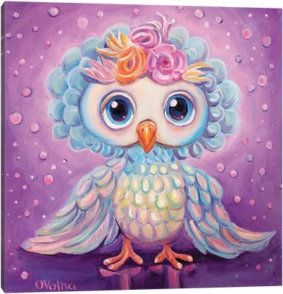 Owl I Canvas Art Print - Olga Volna