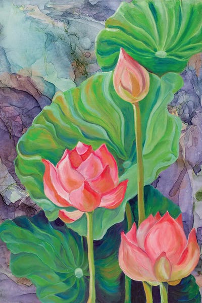 Lotuses: Lotuses by Olga Volna