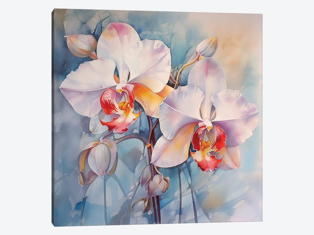 Orchids II by Olga Volna 1-piece Canvas Print