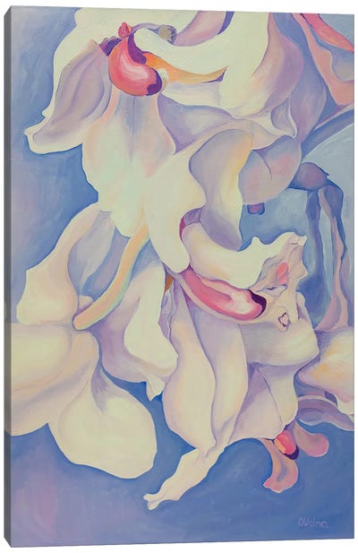 White Orchids Canvas Art Print - Olga Volna