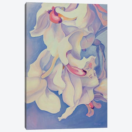 White Orchids Canvas Print #OGV8} by Olga Volna Art Print