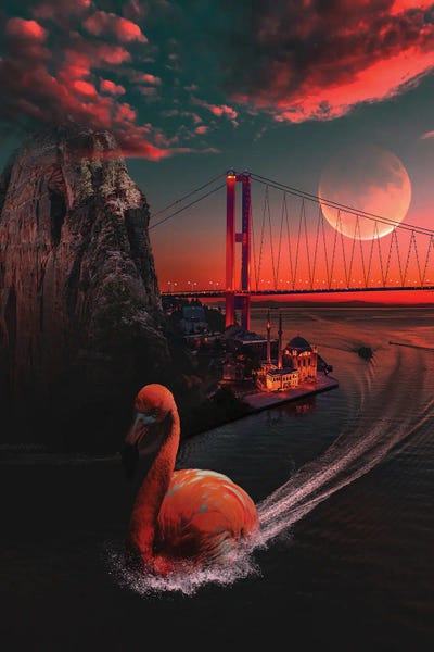 Flamingo by Oğuzhan Taşhan metal wall art