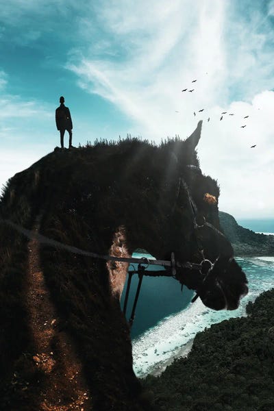 Horse Mount by Oğuzhan Taşhan metal wall art