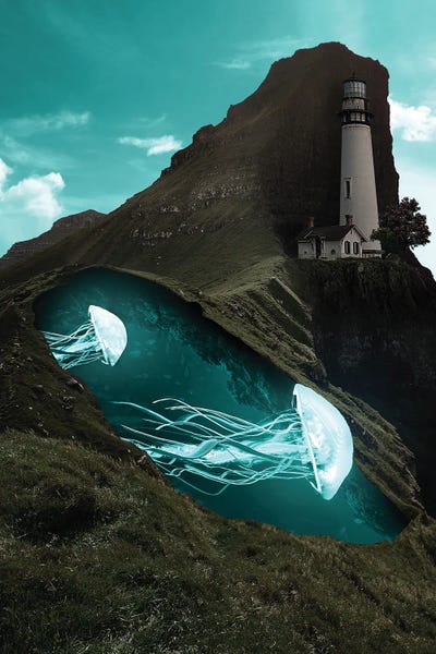 Jelly Fish by Oğuzhan Taşhan metal wall art