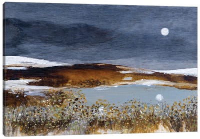 A Winters Reflection Canvas Art Print - Louise O'Hara