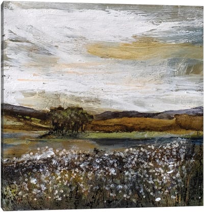 A Flurry Of White Canvas Art Print - Louise O'Hara