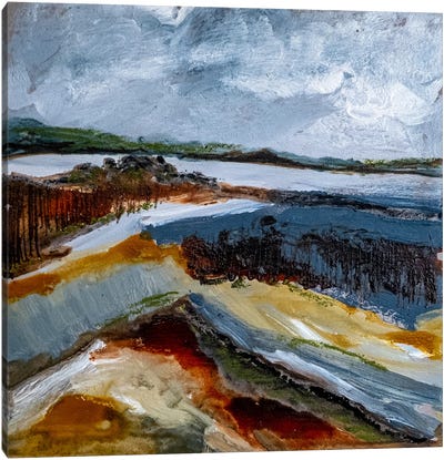 A Frozen Lake Canvas Art Print - Louise O'Hara
