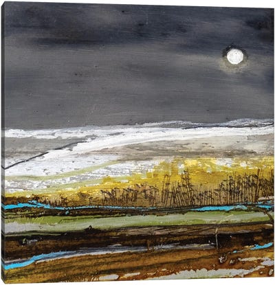 Across The Plains Canvas Art Print - Louise O'Hara