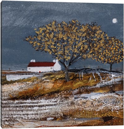 An Autumn Moorland Canvas Art Print