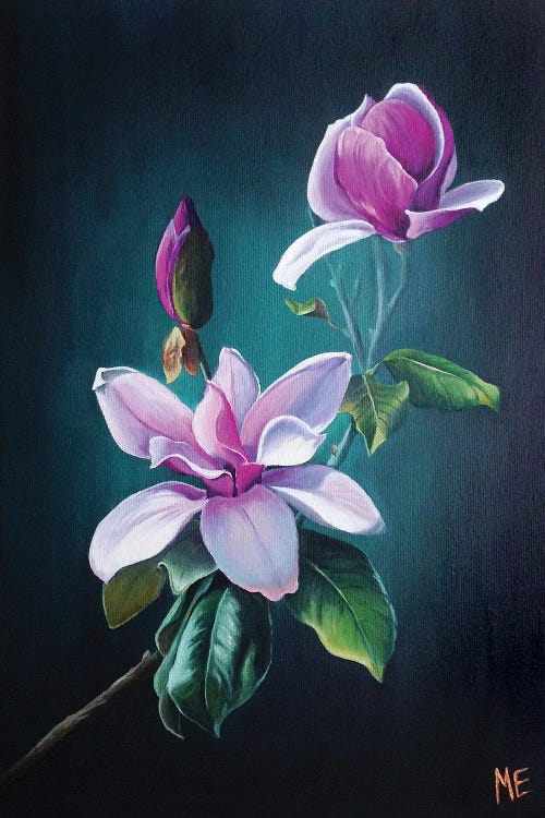 Magnolia