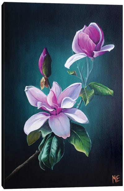 Magnolia Canvas Art Print - Olena Hontar