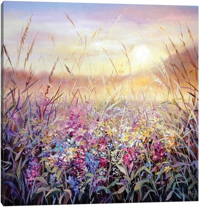 The Warmth Of The Fields Canvas Art Print - Field, Grassland & Meadow Art