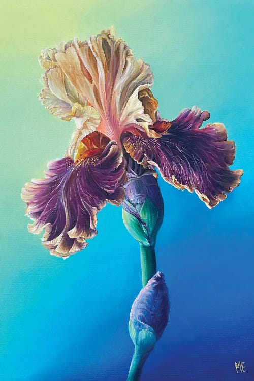 Colors Of Ukraine by Olena Hontar wall art