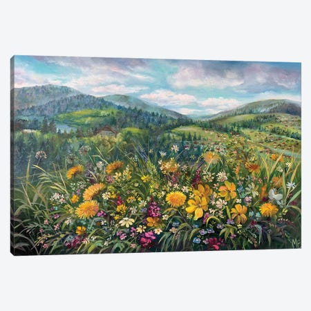 Spring In The Carpathians Canvas Print #OHT59} by Olena Hontar Canvas Artwork