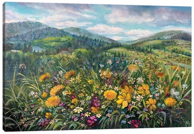 Spring In The Carpathians Canvas Art Print - Olena Hontar